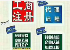 企业服务·企业信息咨询|注册营业执照|代记账报税|0申报|购